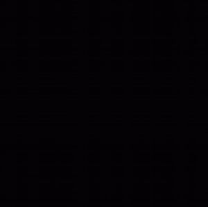 Meet your Posher, Angelica